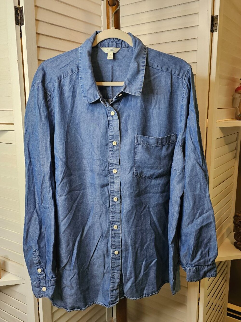 Terra & Sky, Plus Size (20W-22W), Blue Long Sleeved, button Down Blouse